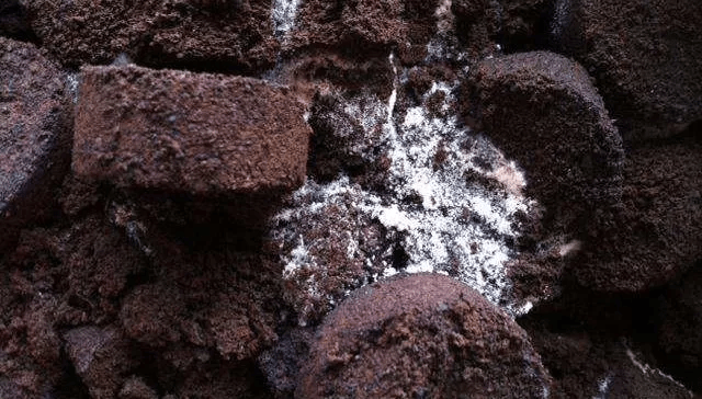 誰說咖啡渣能種花！？